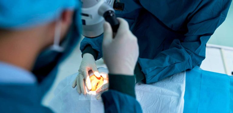 Cerca de 38% das mulheres acima de 60 anos sofrem de catarata, diz IBGE