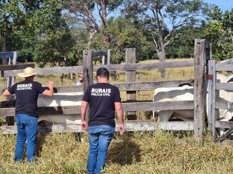 Agropecuaristas goianos