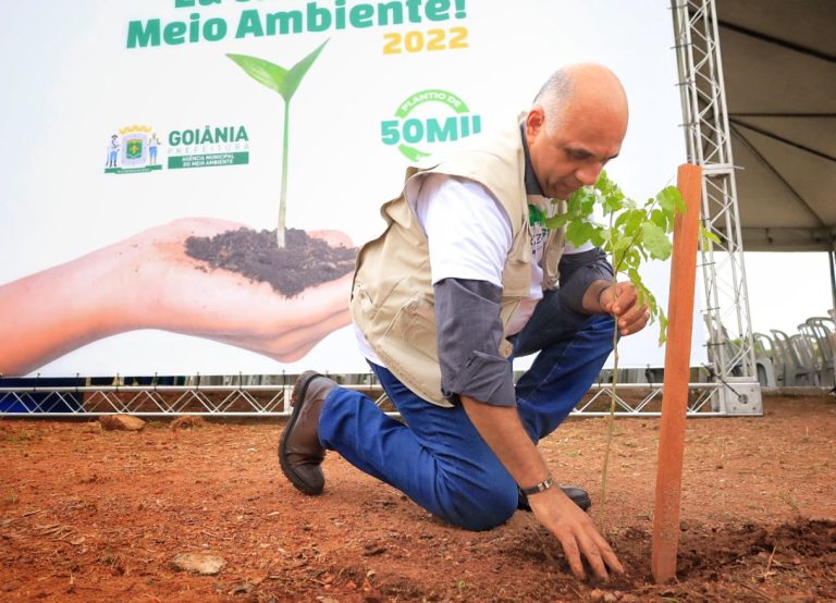Árvores Goiânia