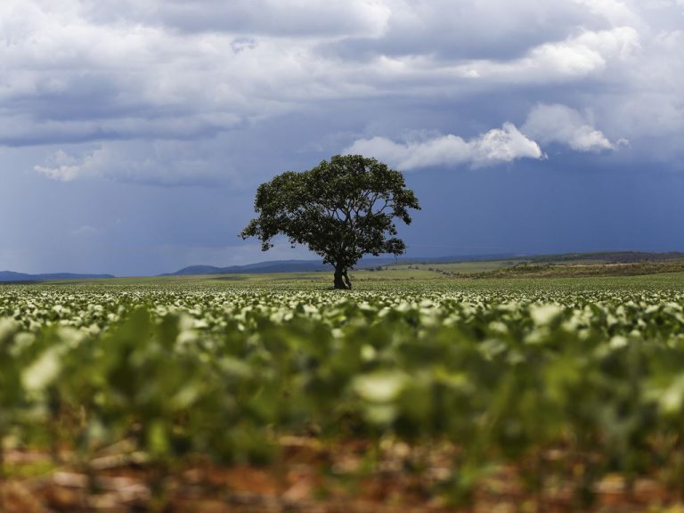 Taxa do agro