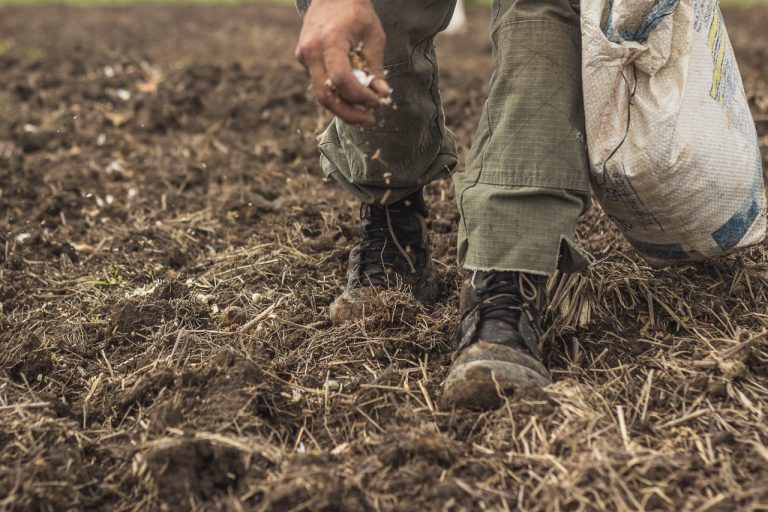 Projeto que mostra o Cerrado será apresentado na COP 27, no Egito