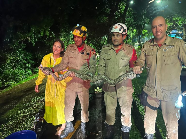 Amma resgata jiboia que assustou moradores no Parque Flamboyant, em Goiânia