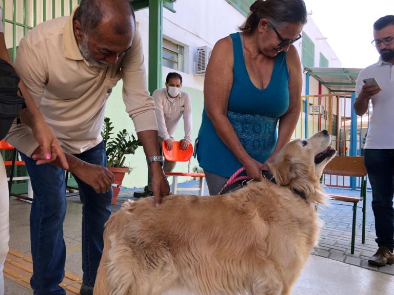 Saúde disponibiliza três postos de vacinação antirrábica para animais durante todo o ano, em Goiânia