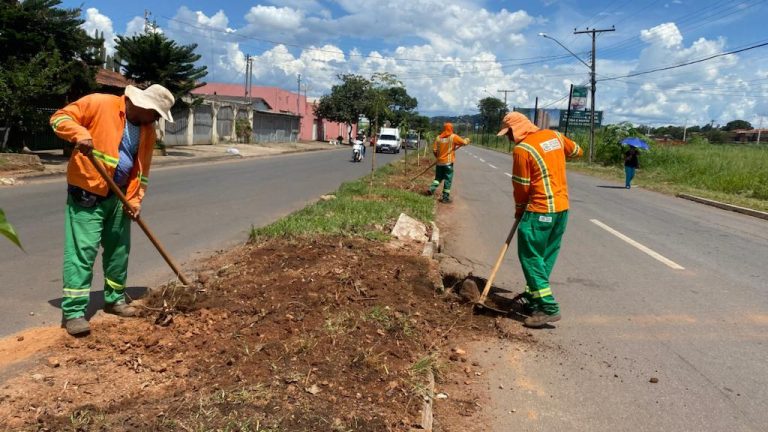 Árvores Jardim Novo Mundo