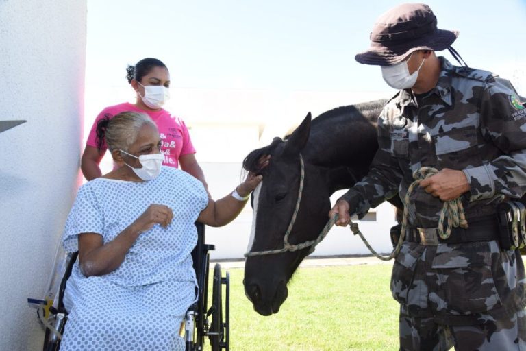 Em Aparecida de Goiânia, pacientes do HMAP recebem visita de cavalos no projeto Terapia Assistida com Animais