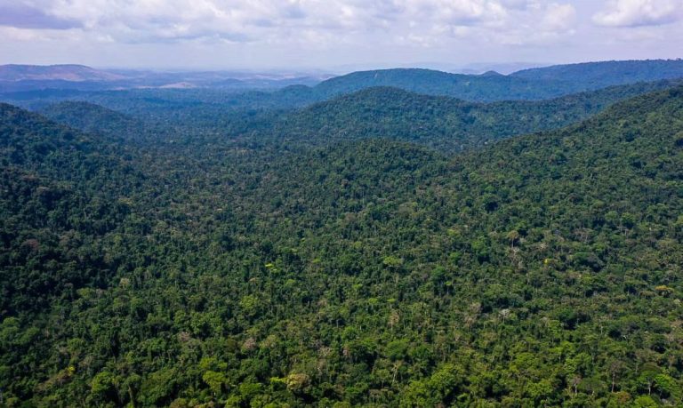 EUA anunciam US$ 500 milhões para Fundo Amazônia