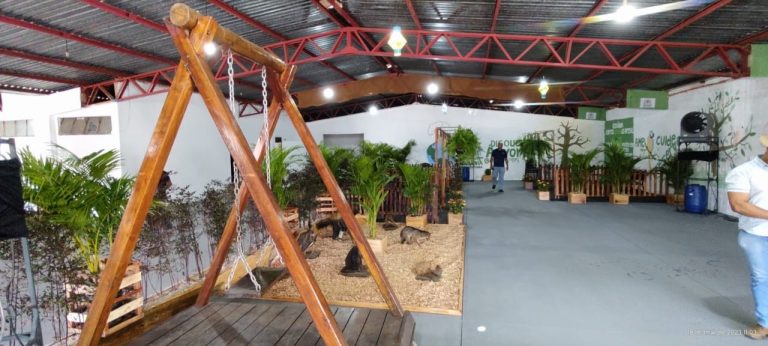 Amma monta stand na Pecuária com viveiros e serviços ambientais
