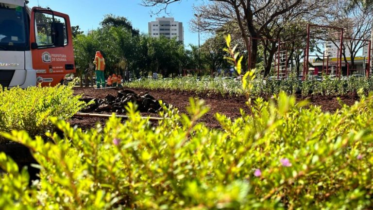 Prefeitura de Goiânia produz 600 mil mudas de flores, arbustos e árvores em 6 meses