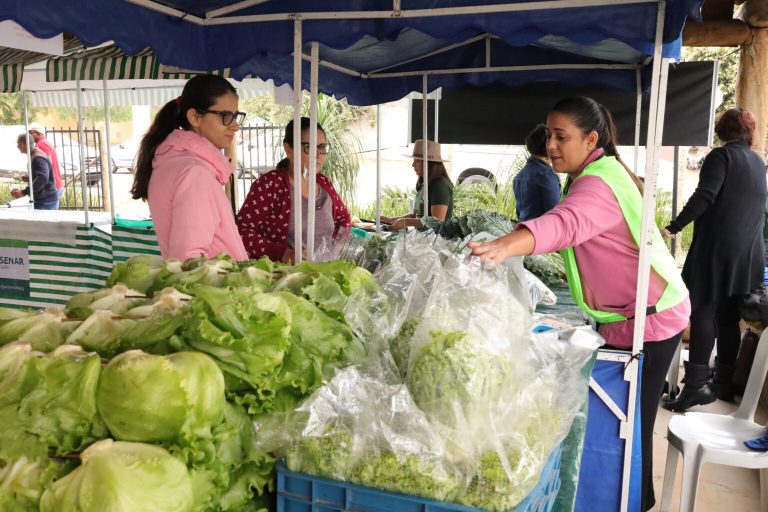 Feira com produtos da agricultura familiar será neste domingo (3), em Aparecida de Goiânia