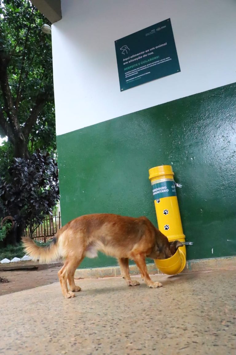 Prefeitura de Goiânia oferece água para animais em parques durante calor