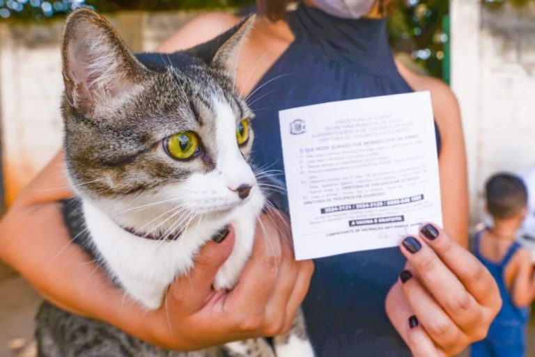Cães e gatos terão consultas veterinárias gratuitas no Mutirão da Prefeitura de Goiânia