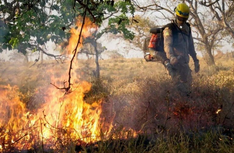 Queimadas em Goiás podem gerar perda de até 1,5 bilhão