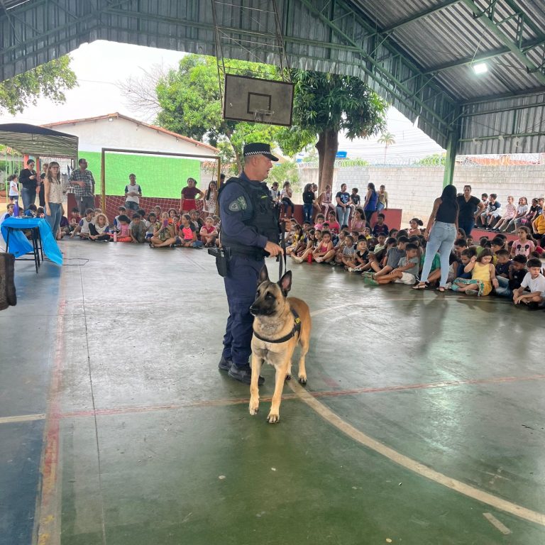 Cães policiais da GCM passam por treinamento para combater o crime