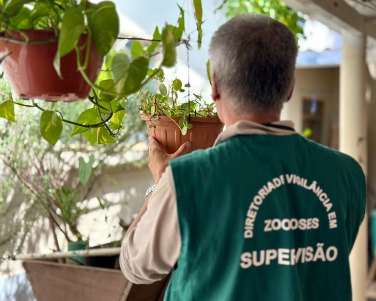 Além dos 5.712 casos confirmados, Goiânia também registrou 291 casos com sinais de alarme e 22 casos graves da doença