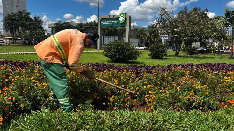 Praças do Centro, Setor Bueno e Oeste recebem revitalização com paisagismo e plantio de árvores nativas