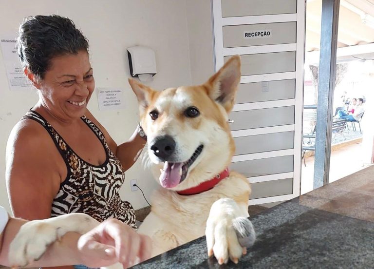 Prefeitura de Goiânia oferece atendimento veterinário gratuito para animais de tutores de baixa renda
