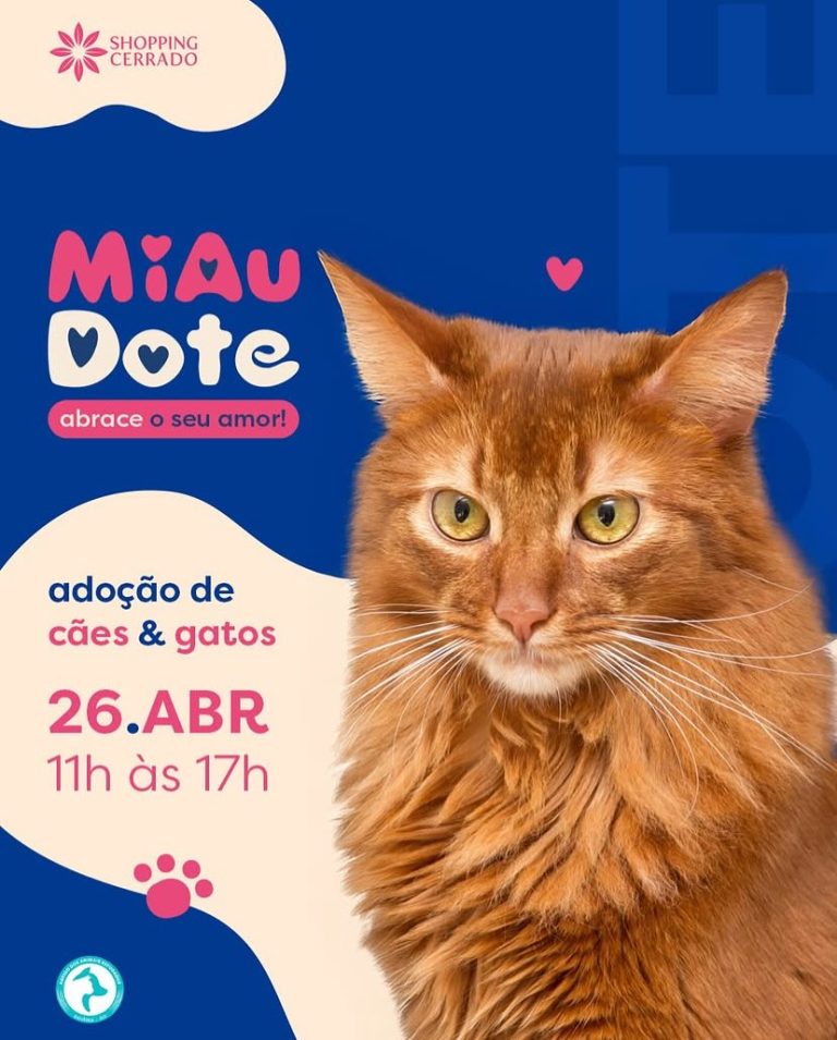 Evento de adoção responsável em Goiânia reunirá 21 cães e 8 gatos