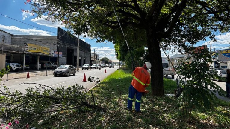 Prefeitura de Goiânia reforça limpeza e zeladoria em 32 bairros da Região Central