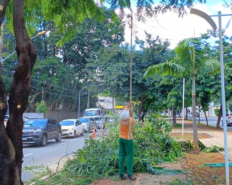 Comurg realiza ampla ação de poda de limpeza de árvores durante o mês de maio