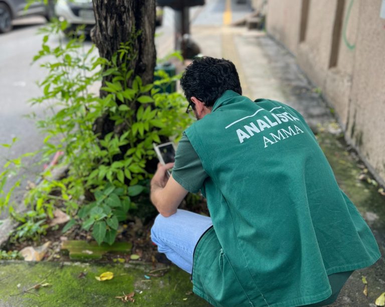 Amma realiza poda de árvores no Lago das Rosas nesta quinta-feira (8/5)