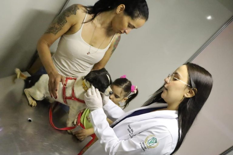 Amma finaliza primeira fase licitatória para contratação de empresa que vai gerir a UPAVet