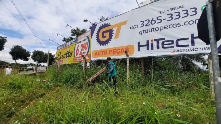 Prefeitura retira mais de 6 mil publicidades irregulares das ruas de Goiânia