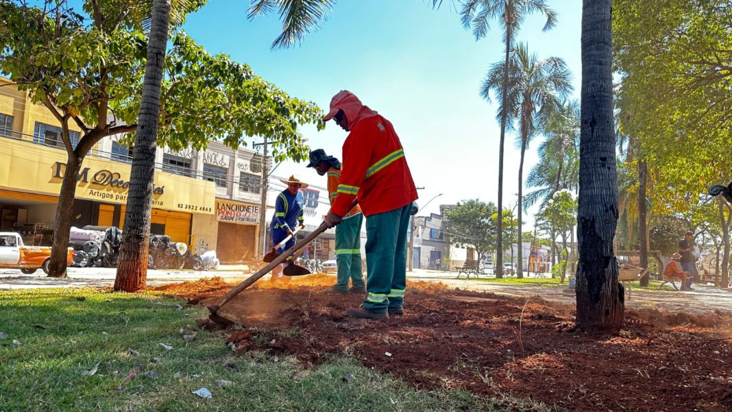 Comurg conclui manutenção do paisagismo e limpeza na Vila Pedroso e mais 15 bairros nesta sexta-feira (30)
