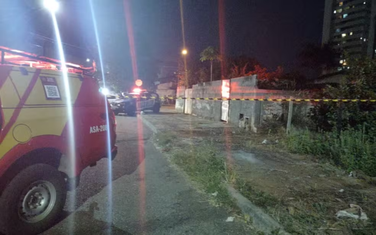 Pit bull que matou bebê o pegou do colo da mãe, diz bombeiro