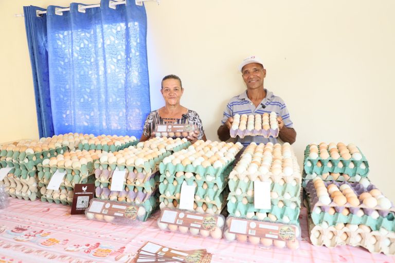 Governo de Goiás realiza pesquisa para mapear a agricultura familiar no estado