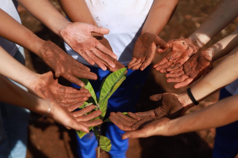 Goiânia celebra o mês do Meio Ambiente com programação cultural, educativa e sustentável