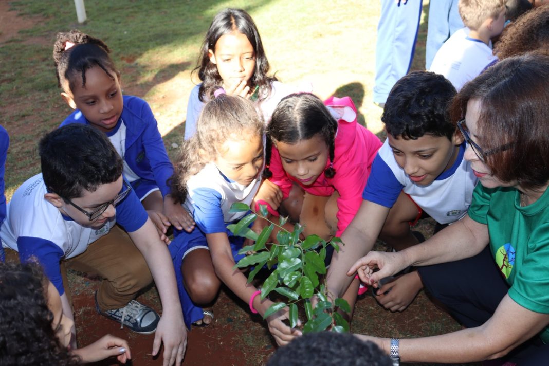Educação realiza plantio de árvores em escolas e Cmeis em alusão ao Dia Mundial do Meio Ambiente