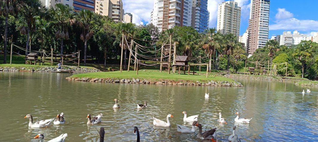 Zoológico de Goiânia adota medida preventiva e mantém vigilância ativa contra gripe aviária