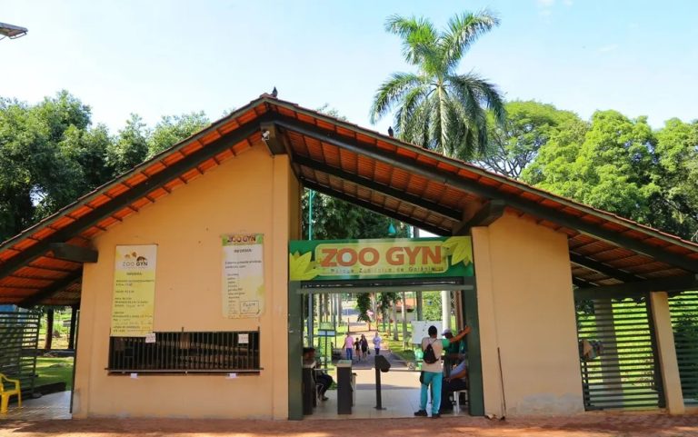 Zoológico de Goiânia reabre nesta quinta-feira (12/6) após teste negativo para gripe aviária