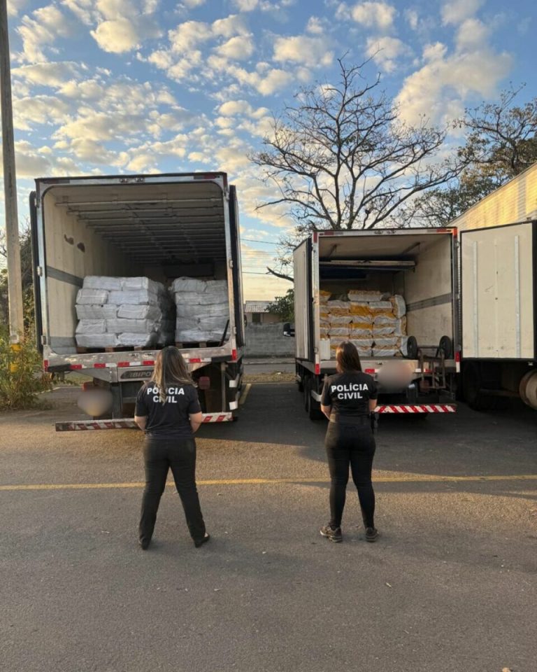 PCGO apreende carga de 12 toneladas de polpa de açaí avaliada em R$ 200 mil e desviada por meio de fraude