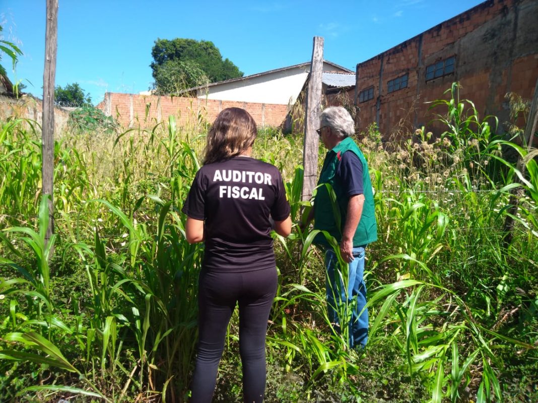 Prefeitura de Goiânia adota novo sistema para acelerar limpeza de lotes baldios