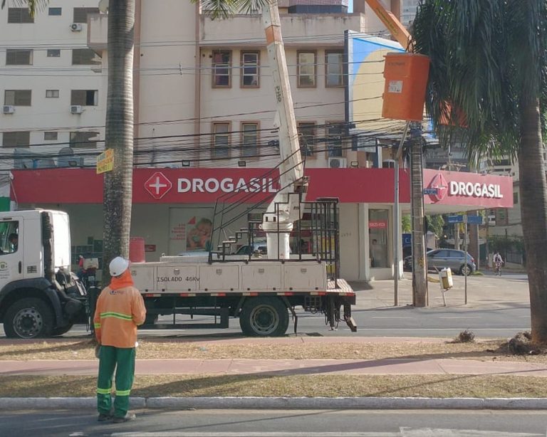 Prefeitura de Goiânia realiza poda preventiva em 361 palmeiras na Avenida T-63