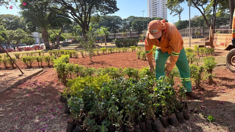 Prefeitura de Goiânia revitaliza 679 praças em seis meses e busca ampliar manutenção dos espaços públicos