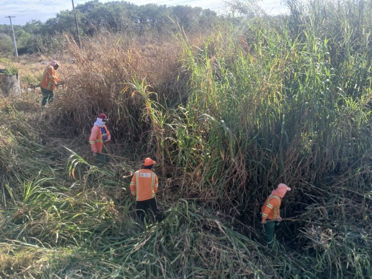 Comurg limpa margens dos córregos Fundo e Caveirinha na Região Noroeste