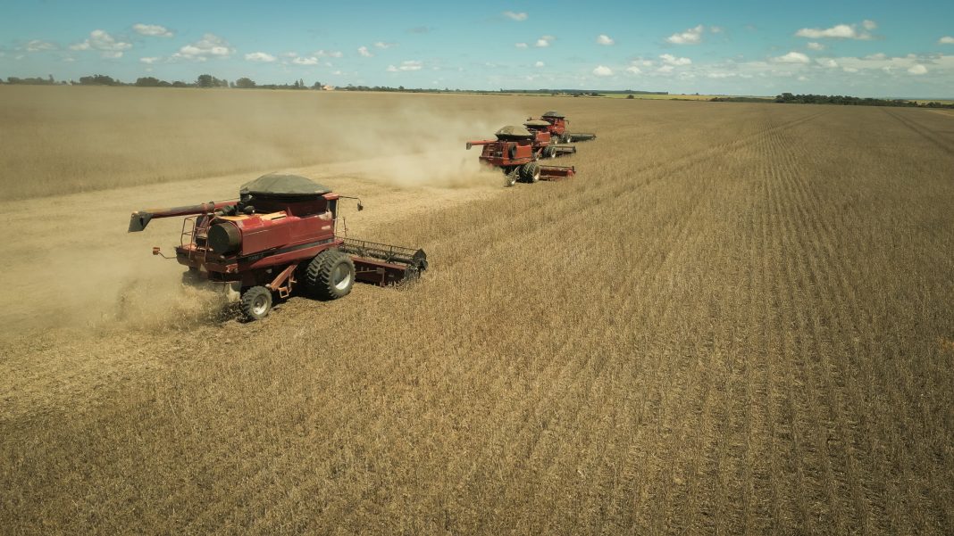 Goiás registra superávit de US$ 826 milhões na balança comercial de julho