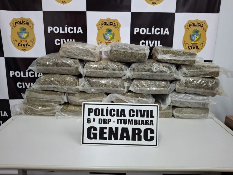 PCGO intercepta carregamento de “supermaconha” avaliado em R$ 500 mil