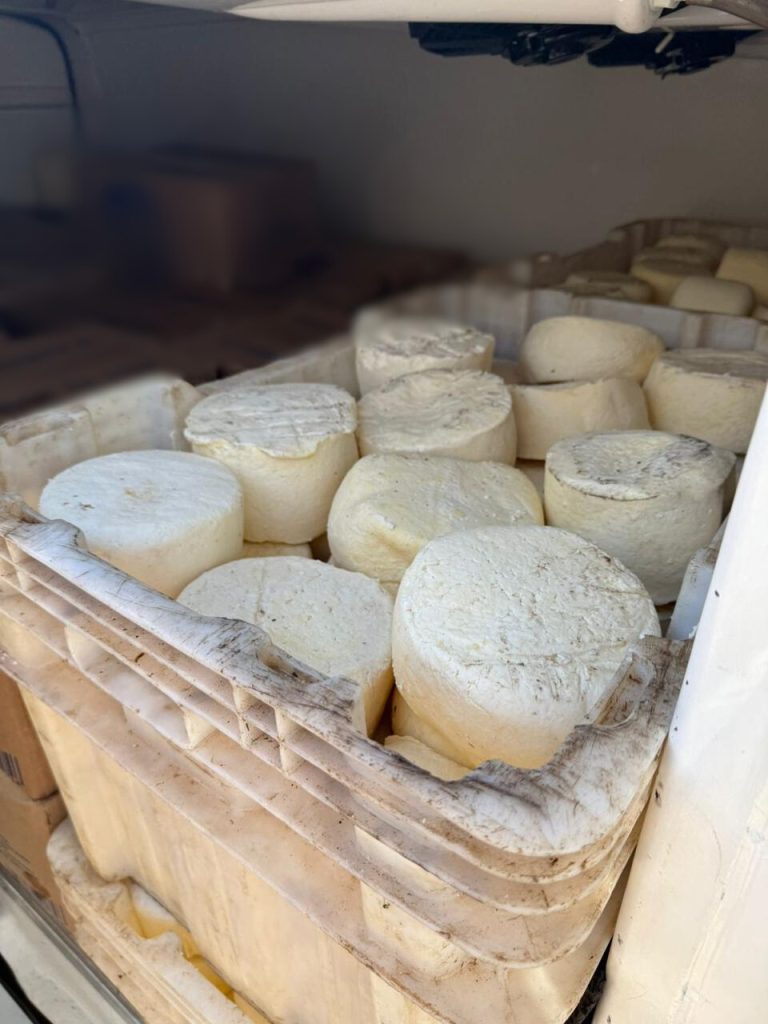 PCGO, Agrodefesa e Vigilância Sanitária apreendem 2 toneladas de alimentos impróprios para consumo em Goiânia