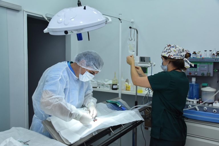 Centro de Castração de Aparecida realiza mil procedimentos em apenas 3 meses e supera meta prevista para 6 meses