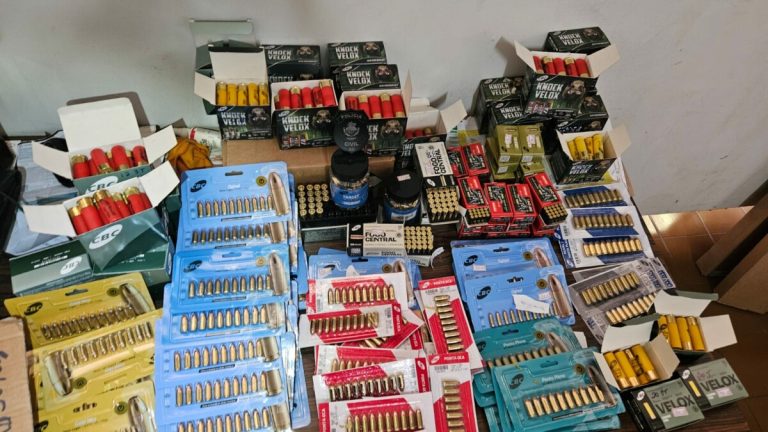 Polícia Civil de Goiás apreende 5 armas, 4 mil munições e animal silvestre em Cristalina e Catalão 