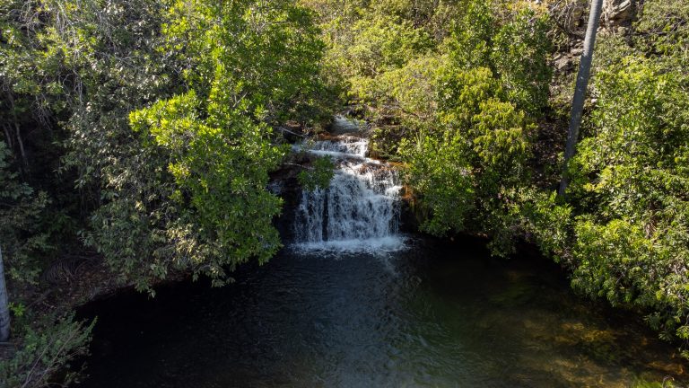 Goiás paga produtores rurais que preservam o cerrado por meio do programa Cerrado em Pé