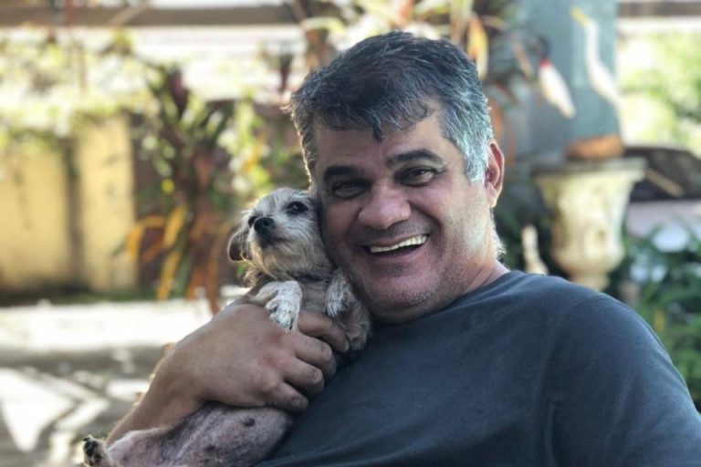 Servidor público morre após ataque de enxame de abelhas em Goiânia