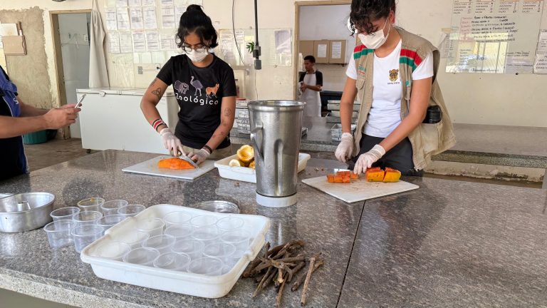 Zoológico de Goiânia intensifica ações de bem-estar animal no período de calor e seca 