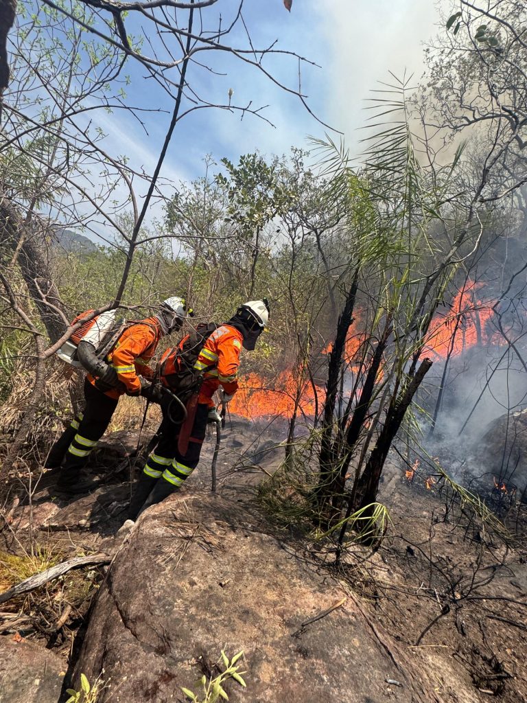 Incêndio em Cavalcante já dura cinco dias e ameaça avançar para outros municípios