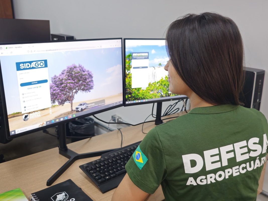 Governo de Goiás abre segunda etapa da Declaração de Rebanho a partir de sábado (1º/11)
