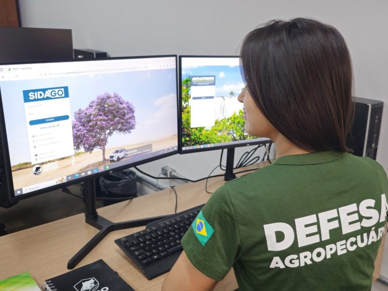 Governo de Goiás abre segunda etapa da Declaração de Rebanho a partir de sábado (1º/11) 