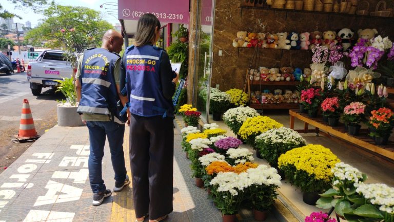 Procon Goiás encontra variação de quase 590% no preço das flores para o Dia de Finados 
